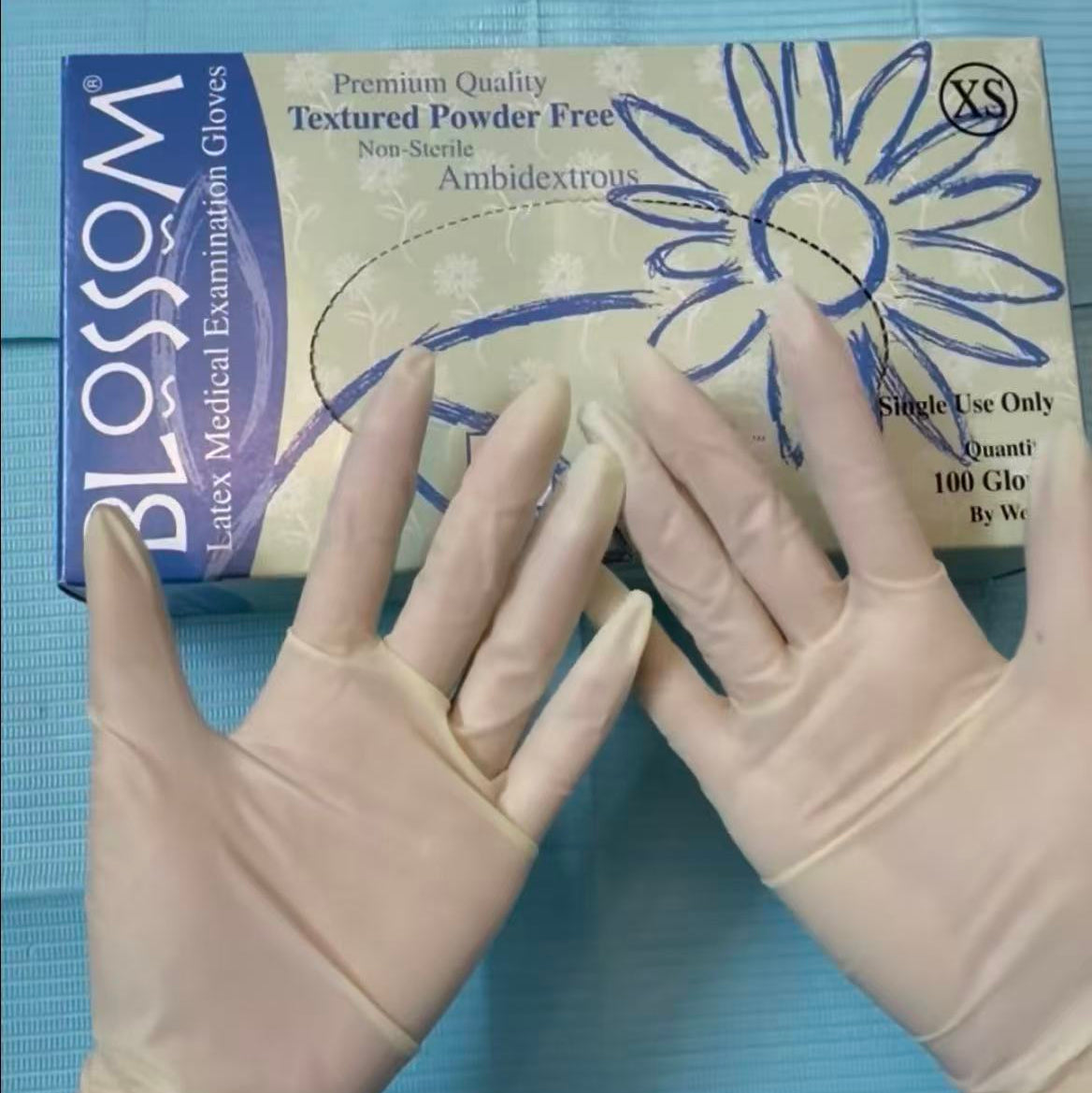 Blossom 小麥塗層乳膠無粉紋理檢查手套 Latex Powder Free Textured Exam Gloves with C.O.A.T.S