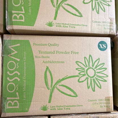 Blossom 乳膠蘆薈無粉檢查手套  Latex Aloe Vera Powder-Free Exam Gloves