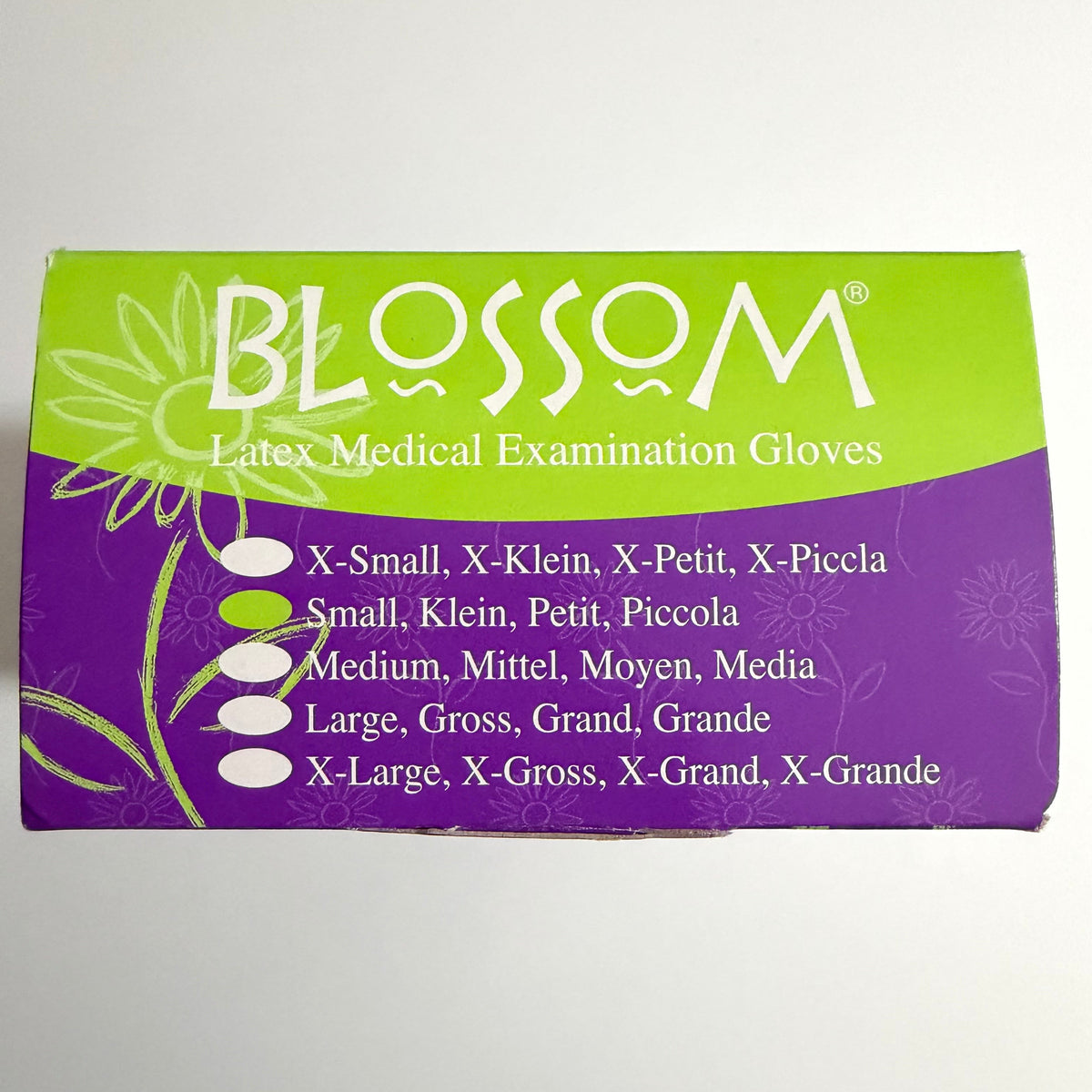 Blossom Aloe Vera Latex Exam Gloves for dental distributors and importers in the Middle East