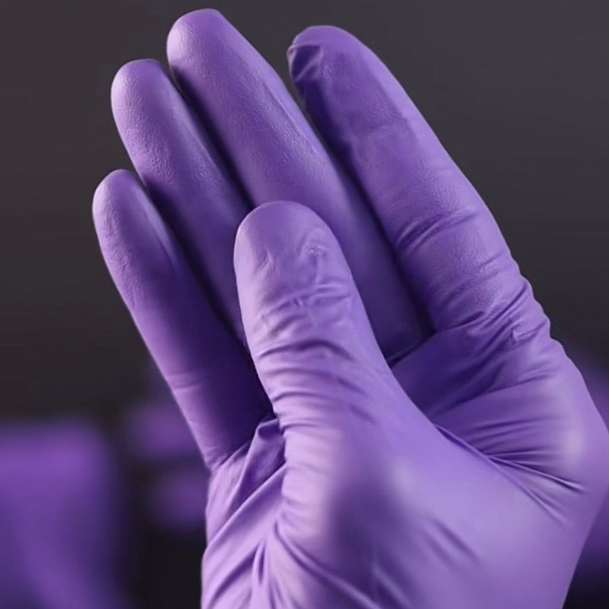 Blossom 紫色無粉丁腈檢查手套  Lila Nitrile Powder-Free Examination Gloves