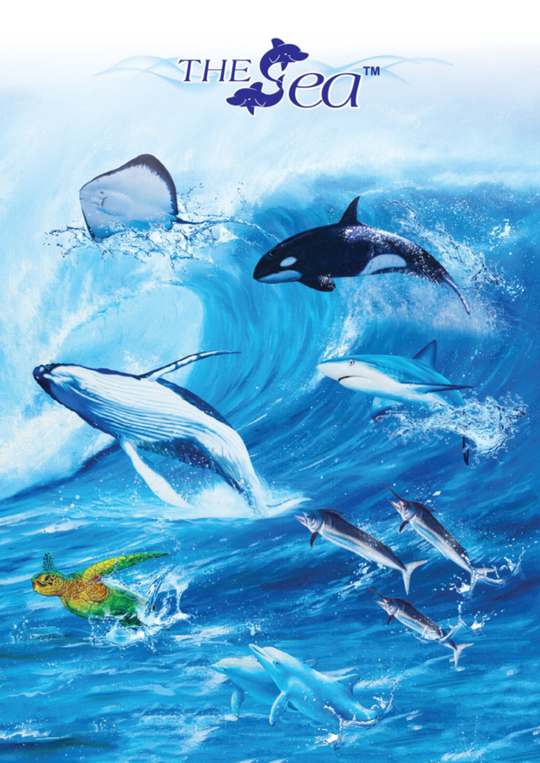 The Sea Collection